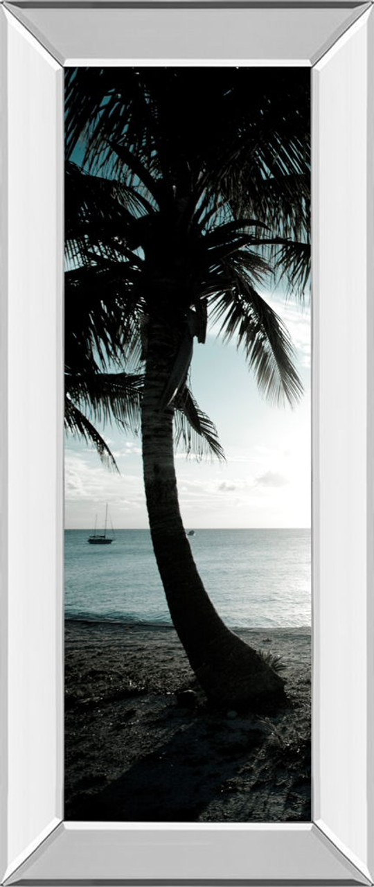 Cool Bimini Palms Il By Susan Bryant – Mirror Framed Print Wall Art – Black