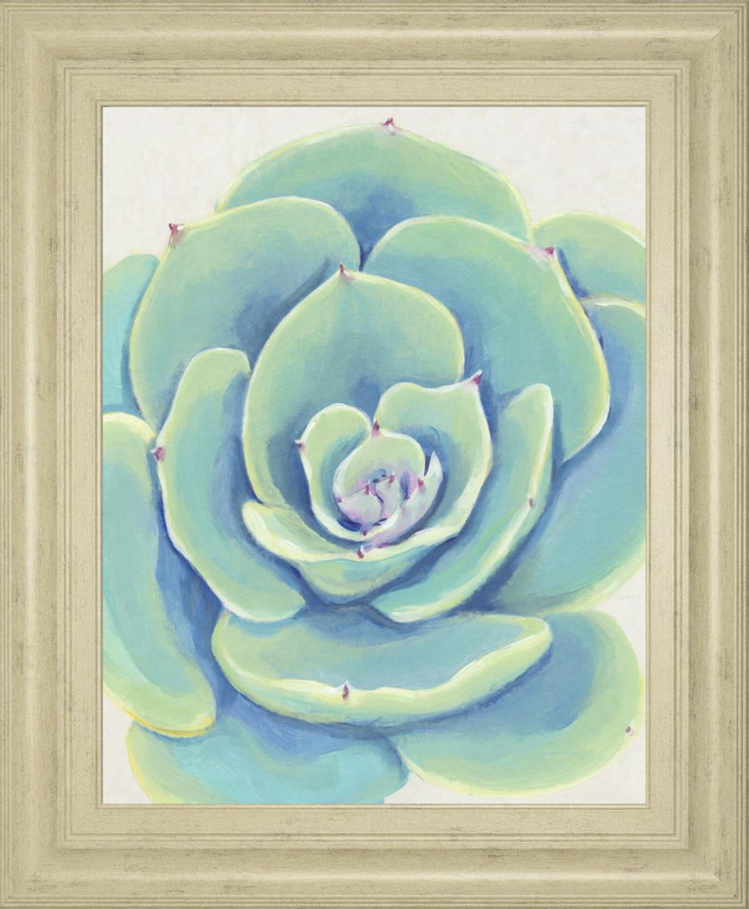 22×26 Pastel Succulent IV By Tim OToole – Light Blue