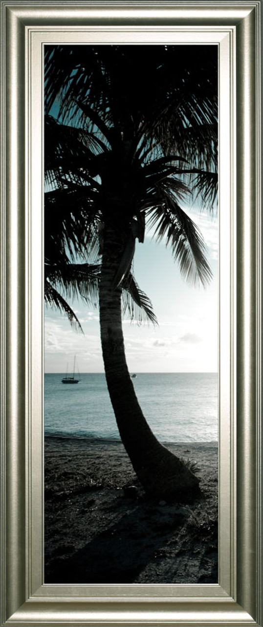 Cool Bimini Palms Il By Susan Bryant – Framed Print Wall Art – Black