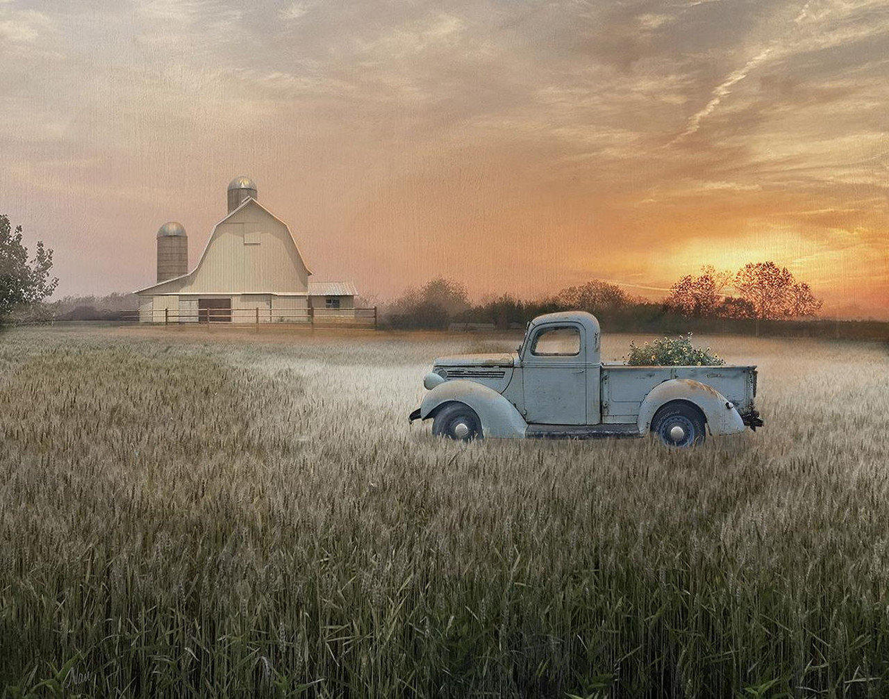 Evening Farm By Nan (Framed) – Orange