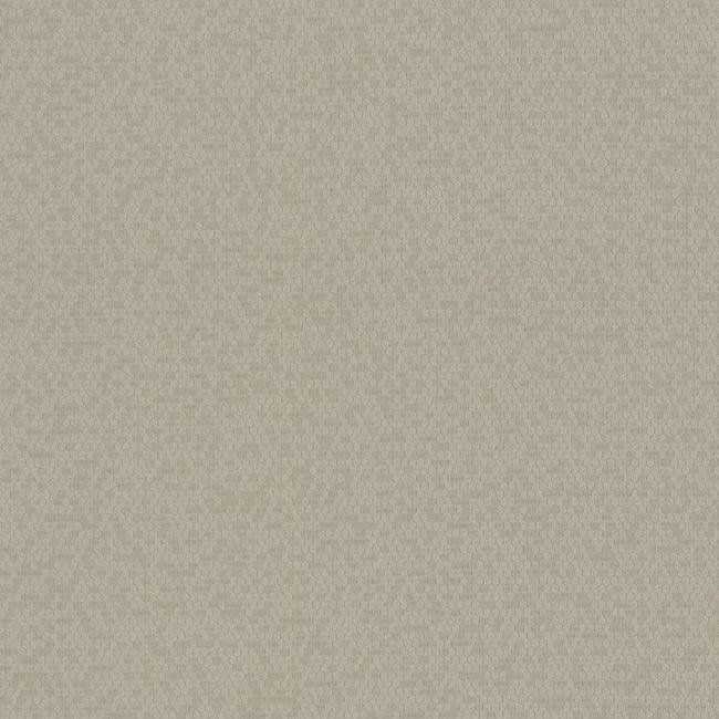 York Candice Olson Terrain D35 Honey Bee Wallpaper in Browns COD0501N (Double Roll) FedEx/UPS