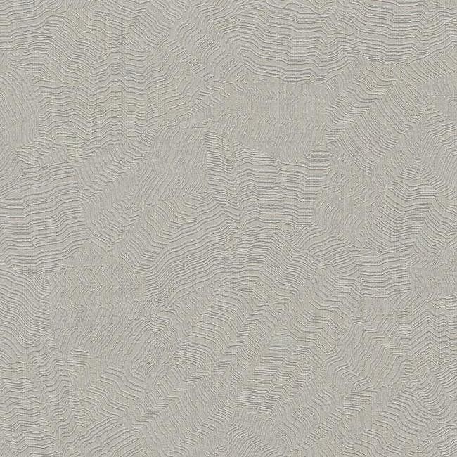 York Candice Olson Terrain D35 Aura Wallpaper in Beiges COD0520N (Double Roll) FedEx/UPS