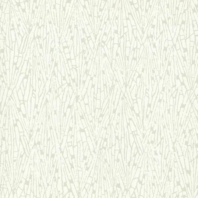 York Candice Olson Terrain D35 Gala Wallpaper in White/Off Whites COD0521N (Double Roll) FedEx/UPS