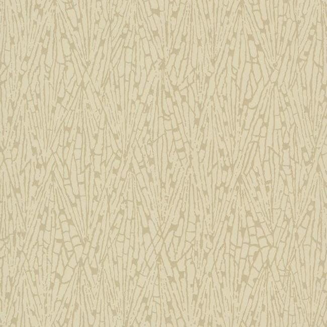 York Candice Olson Terrain D35 Gala Wallpaper in Beiges COD0523N (Double Roll) FedEx/UPS