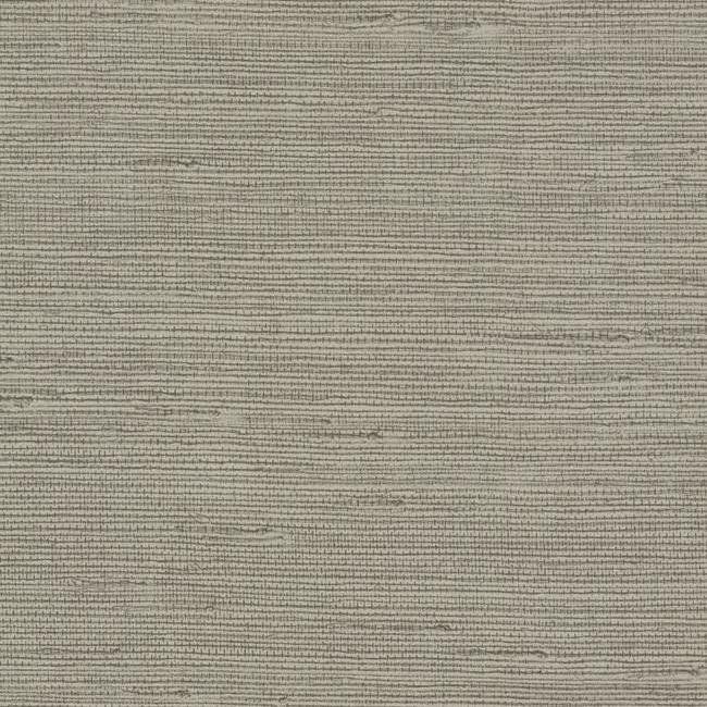 York Candice Olson Terrain D35 Pampas Wallpaper in Browns COD0553N (Double Roll) FedEx/UPS