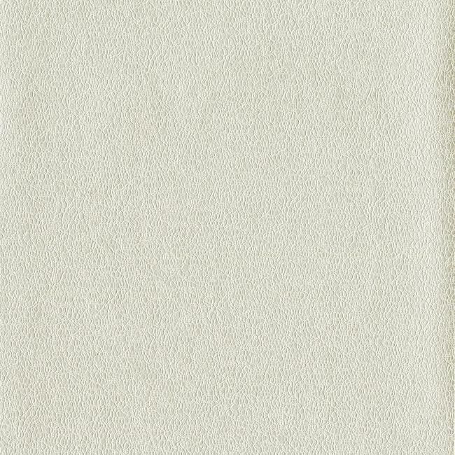 York Candice Olson Terrain D35 Tatting Wallpaper in Beiges COD0559N (Double Roll) FedEx/UPS