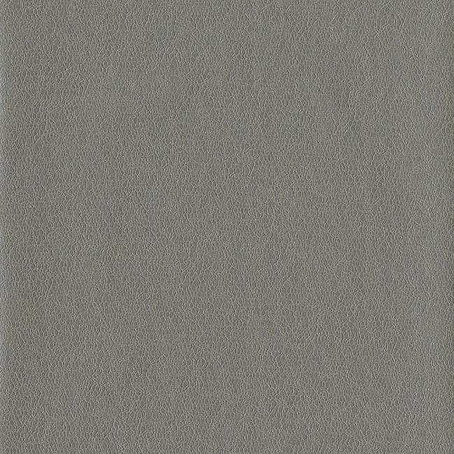 York Candice Olson Terrain D35 Tatting Wallpaper in Browns COD0560N (Double Roll) FedEx/UPS