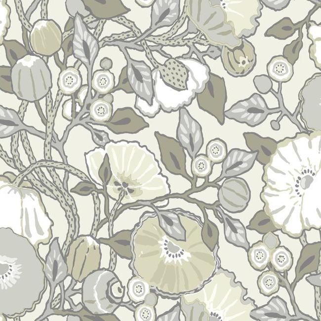 York Conservatory D21 Vincent Poppies Wallpaper in Gray CY1519 (Double Roll) FedEx/UPS